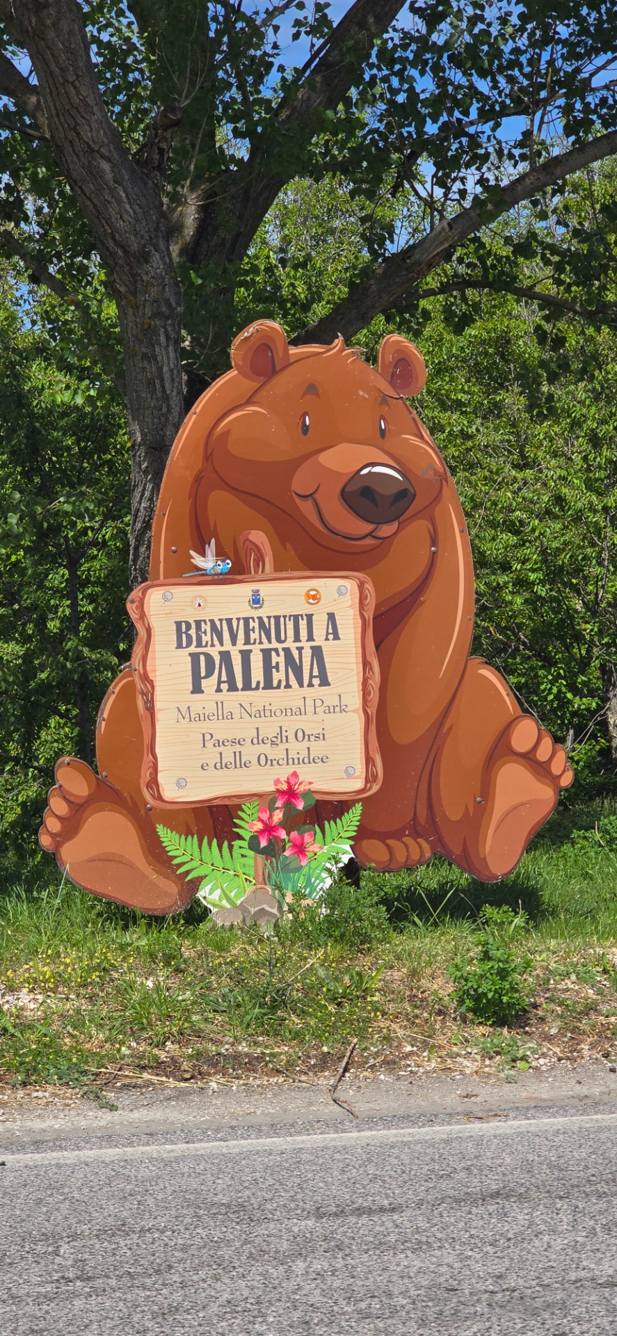Palena